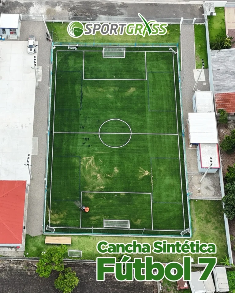 Inicio 3 CANCHA SINTETICA FUTBOL 7